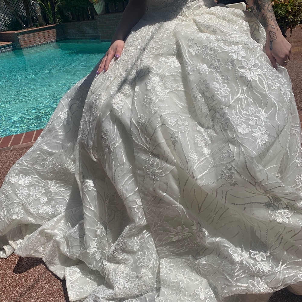 Gorgeous Wedding dress - Picture 16 of 16